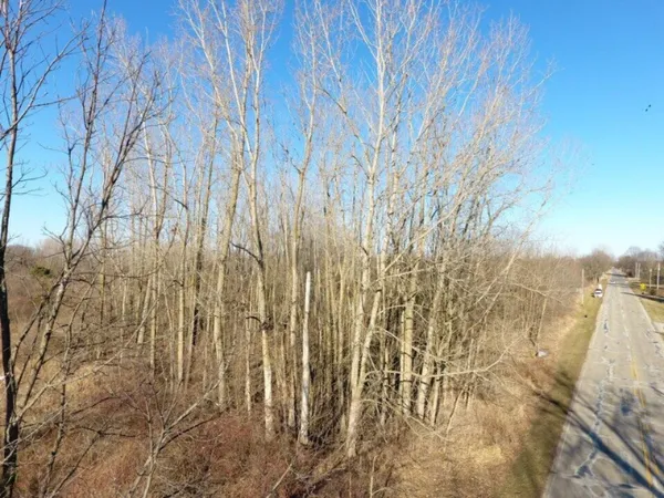 $11,800 | Tbd East Main Street, Maple Rapids, MI 48853