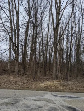 $11,800 | Tbd East Main Street, Maple Rapids, MI 48853