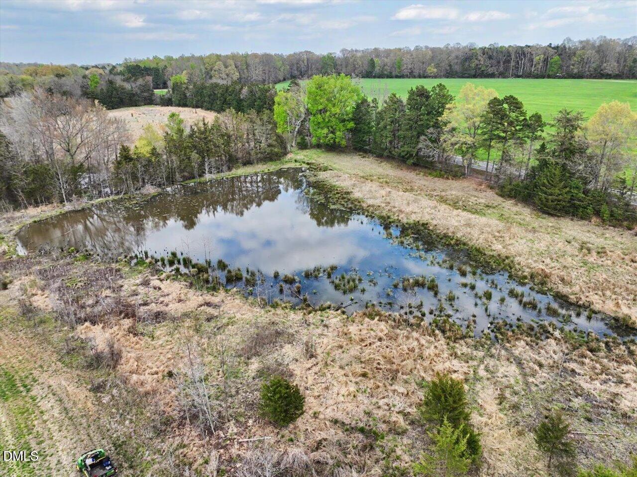 7793 Ridgeville Road Leasburg, NC 27291 - Photo 67 of 91