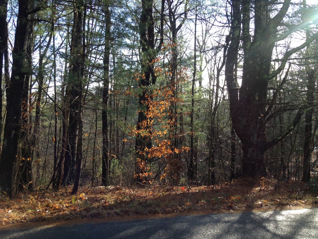 0 Ramshorn Road Charlton, MA 01507 - Photo 2 of 4 Gallery Image 2