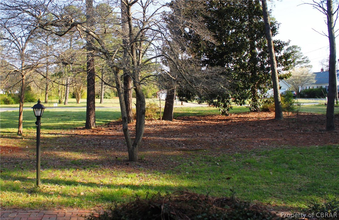 7449 Joseph Lewis Road Hayes, VA 23072 - Photo 32 of 32 Lovely front yard with mature trees to include a beautiful magnolia.