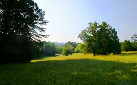 41-ac Old Loving Road Morganton, GA 30560 - Photo 1 of 1 Main View