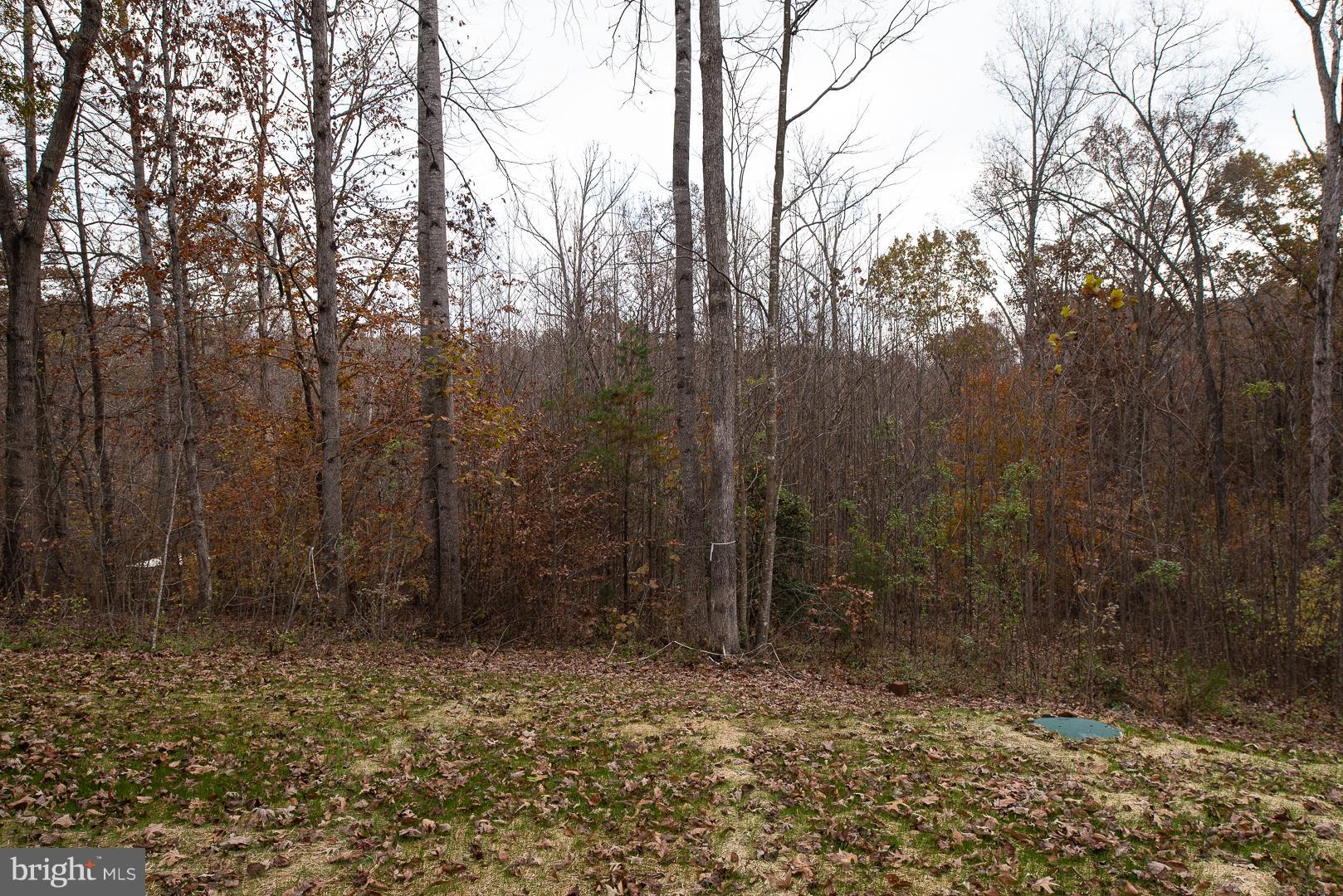 6121 Bills Road Mineral, VA 23117 - Photo 29 of 29 Exterior (General)