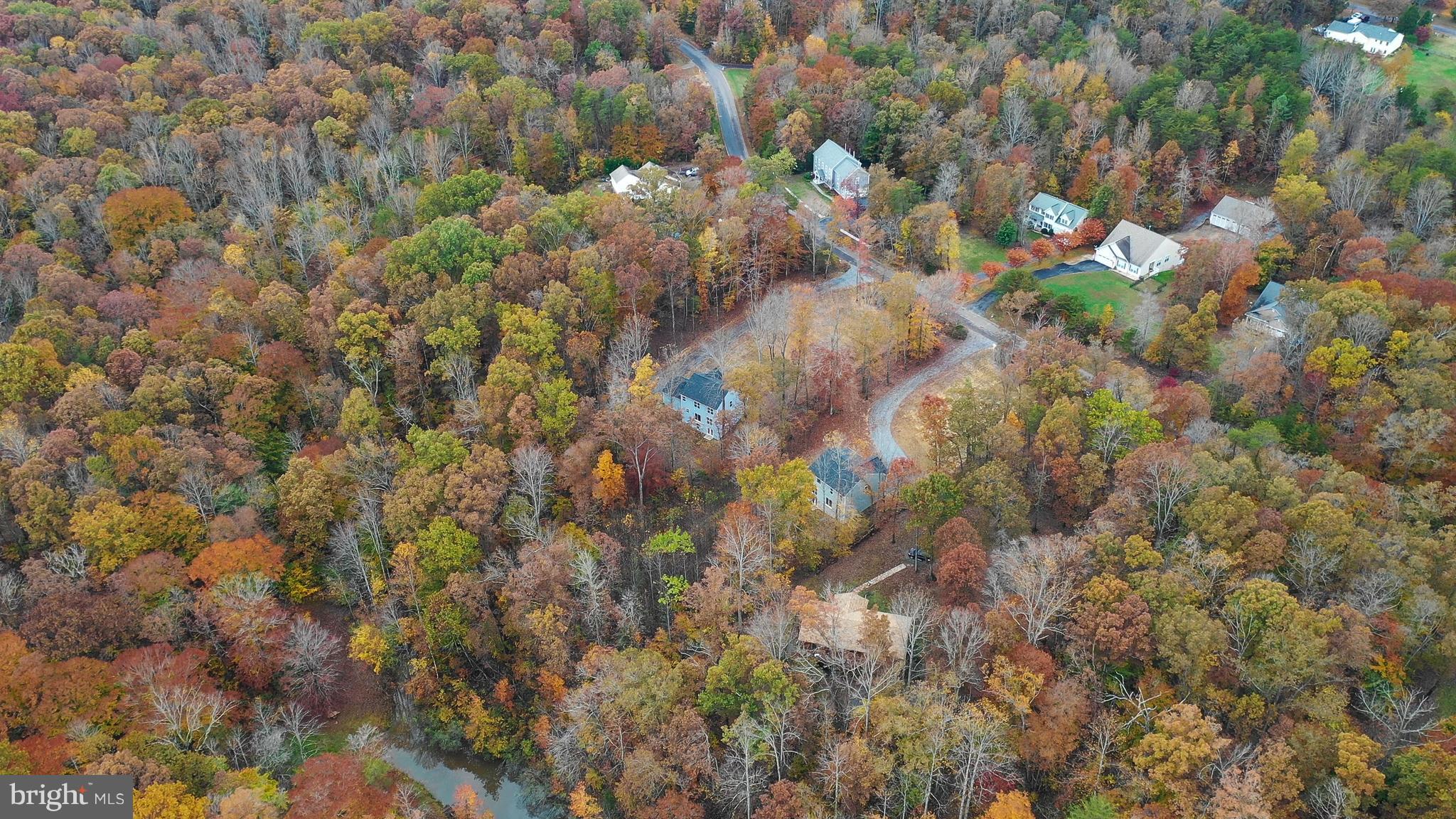 6121 Bills Road Mineral, VA 23117 - Photo 5 of 29 Waterfront lot