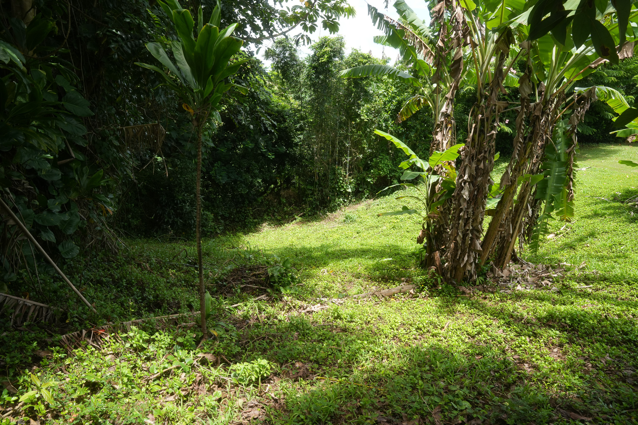 6396 Kalama Road Kapaa, HI 96746 - Photo 9 of 14 Gallery Image 9
