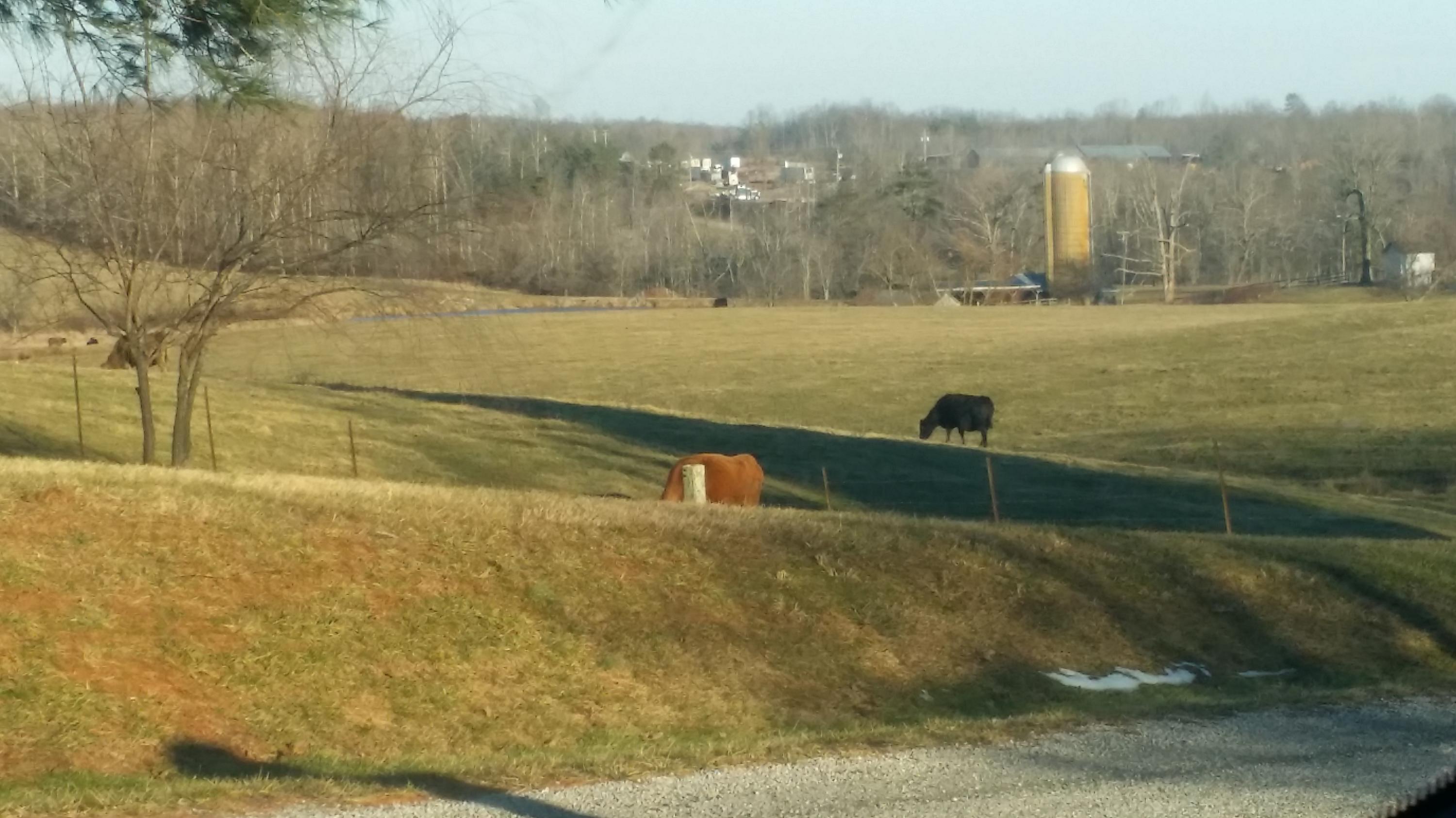 135 Gaines Lowe Road Jamestown, TN 38556 - Photo 13 of 39 tracy6