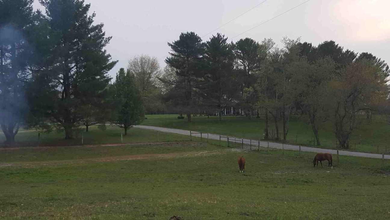 135 Gaines Lowe Road Jamestown, TN 38556 - Photo 37 of 39 tracy5