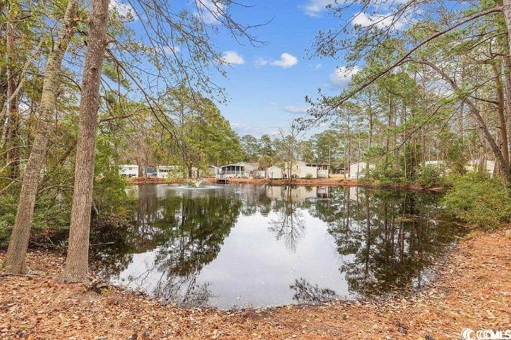 46 Islander Court Murrells Inlet, SC 29576 - Photo 13 of 14 Water view