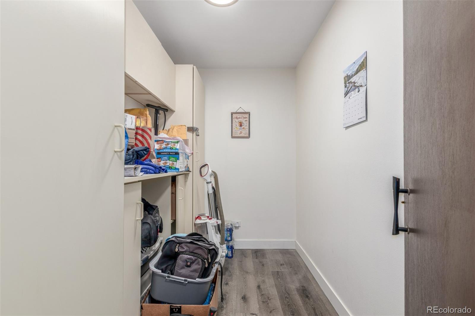 725 South Clinton Street, Unit 7B Denver, CO 80247 - Photo 27 of 29 a view of walk in closet with clothes and shoes