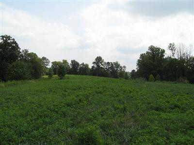 111 Locust Grove Road Keavy, KY 40737 - Photo 3 of 4 Photo 3