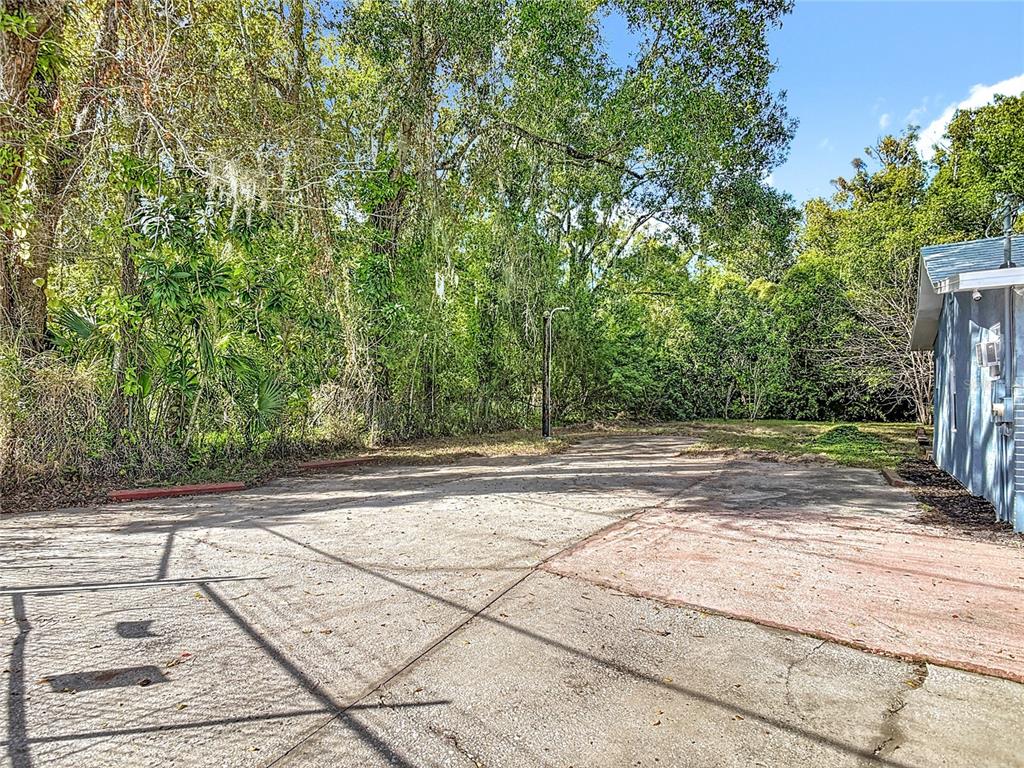 2410 SW Road Sanford, FL 32771 - Photo 4 of 30 a view of a yard with plants and large trees