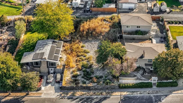 a view of a yard with plants