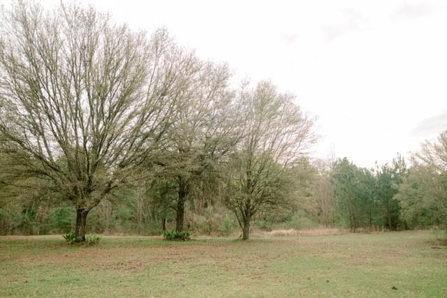 21029 Mitch Road Bogalusa, LA 70427 - Photo 27 of 38 Gallery Image 27