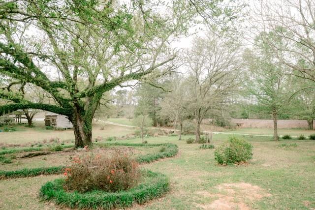 21029 Mitch Road Bogalusa, LA 70427 - Photo 33 of 38 Gallery Image 33