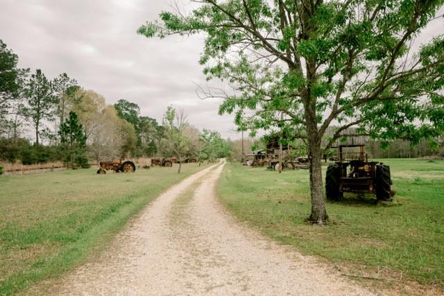 21029 Mitch Road Bogalusa, LA 70427 - Photo 38 of 38 Gallery Image 38