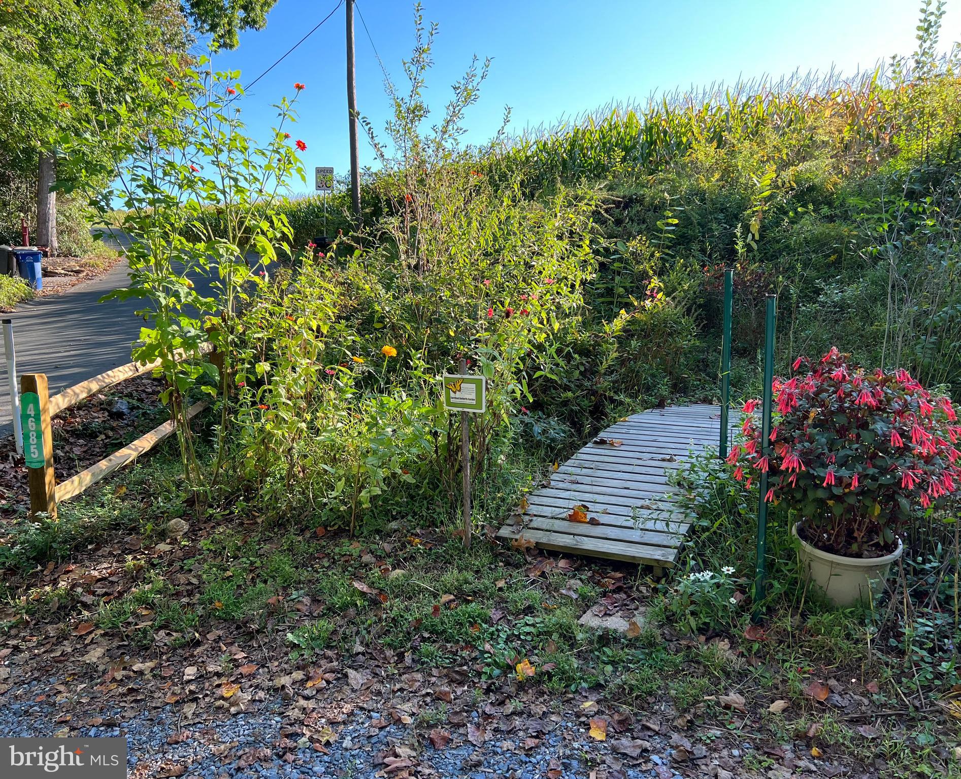 4685 Geeting Road Westminster, MD 21158 - Photo 34 of 36 Butterfly gardens