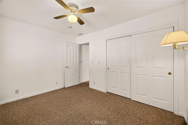 a view of a tree in the middle of a yard