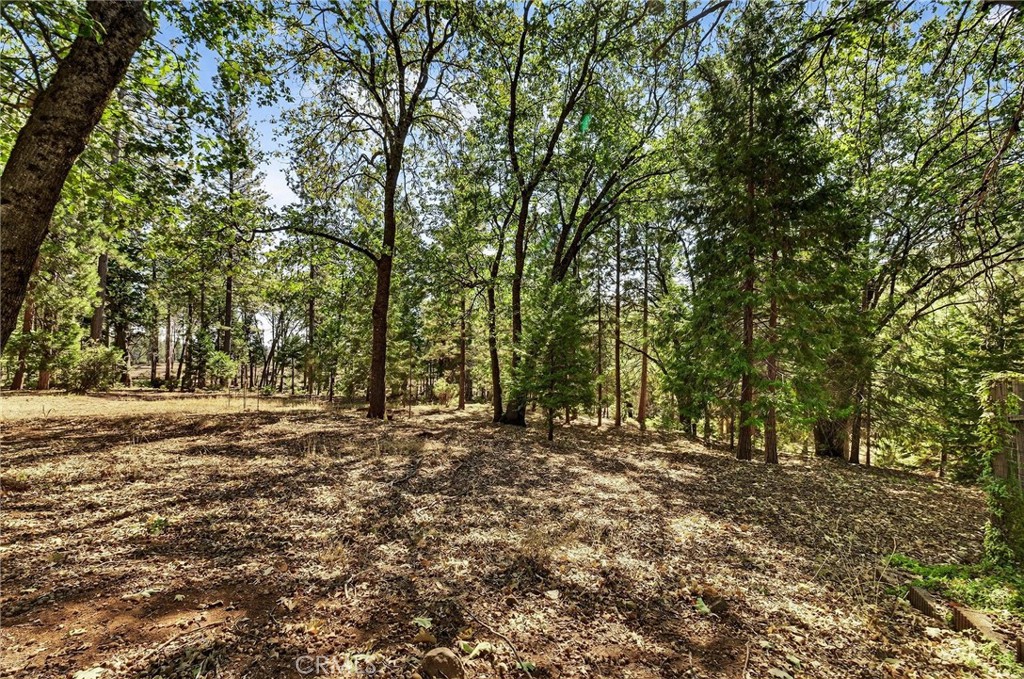 10202 Cohasset Road Chico, CA 95973 - Photo 54 of 71