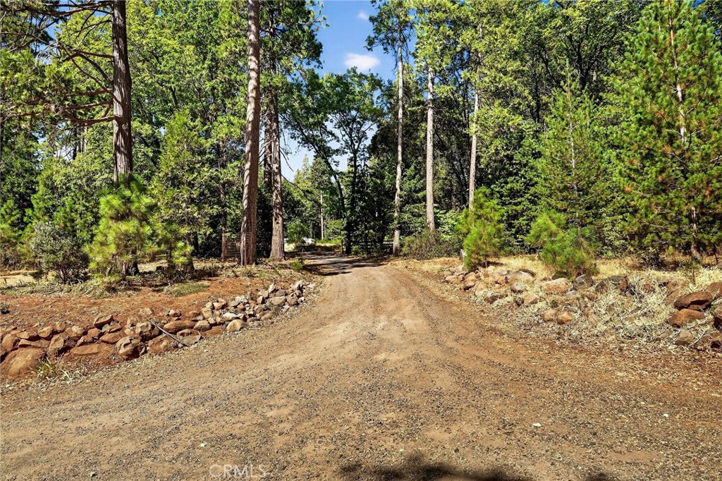 10202 Cohasset Road Chico, CA 95973 - Photo 55 of 71 a view of outdoor space with trees
