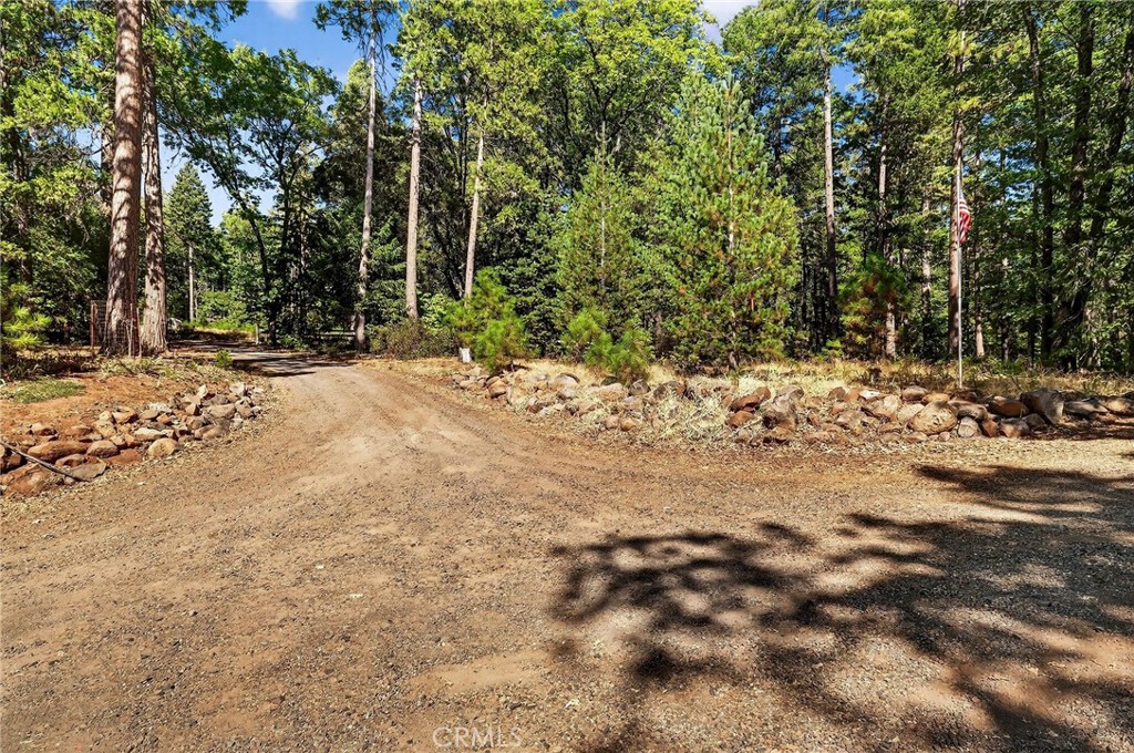 10202 Cohasset Road Chico, CA 95973 - Photo 61 of 71 a view of a red and white house with a large tree