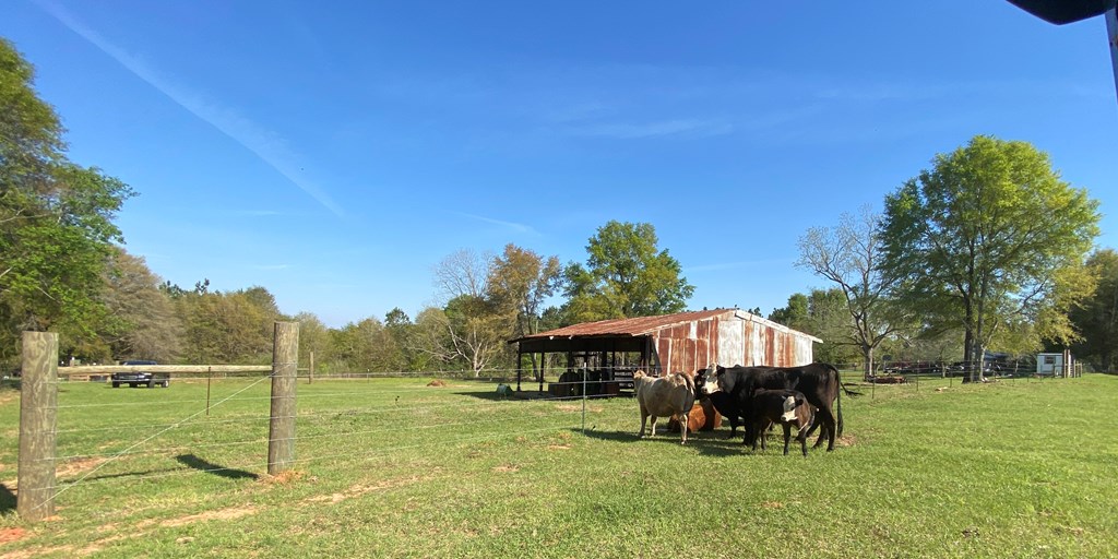 0 Co Road Abbeville, AL 36310 - Photo 6 of 53
