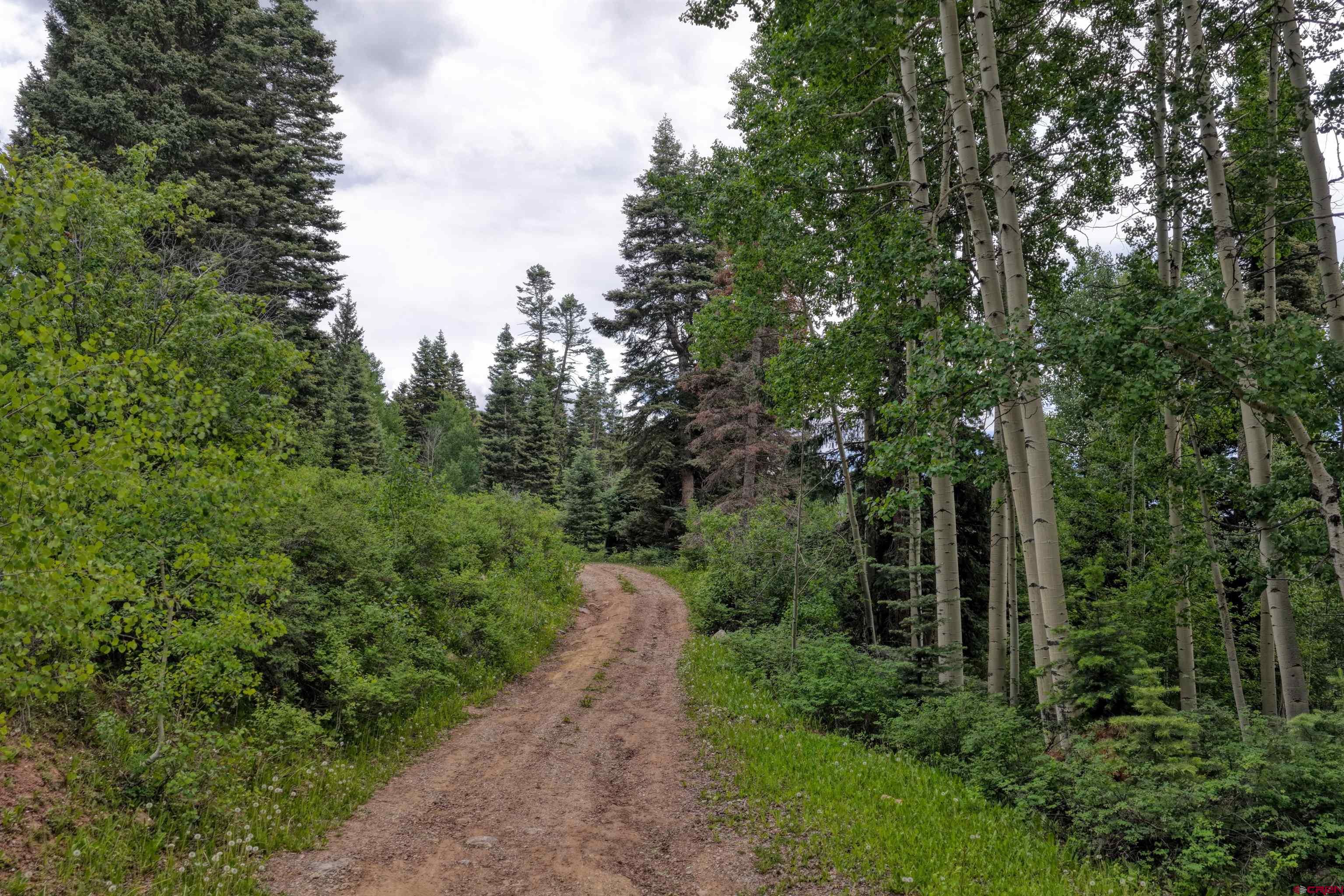 4556 Middle Mountain Road Bayfield, CO 81122 - Photo 6 of 11