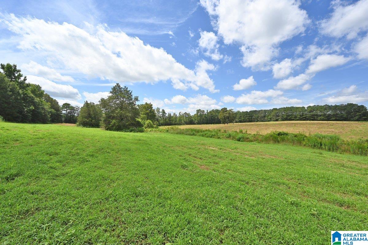 70 Nobinger Road Falkville, AL 35622 - Photo 4 of 23 Gallery Image 4