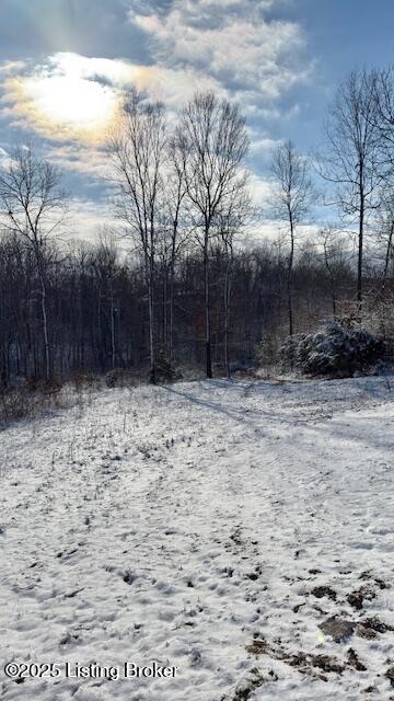0 Grant Ridge Road Leitchfield, KY 42754 - Photo 2 of 4 Grant 2