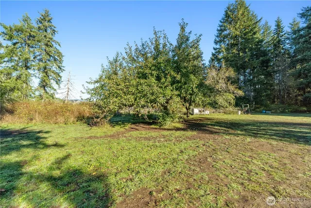 a view of yard with green space