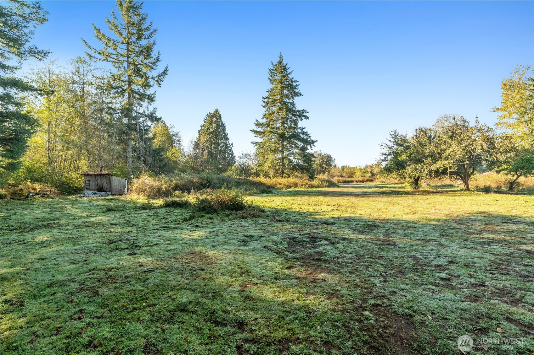 433 West Lucas Lane Elma, WA 98541 - Photo 12 of 17