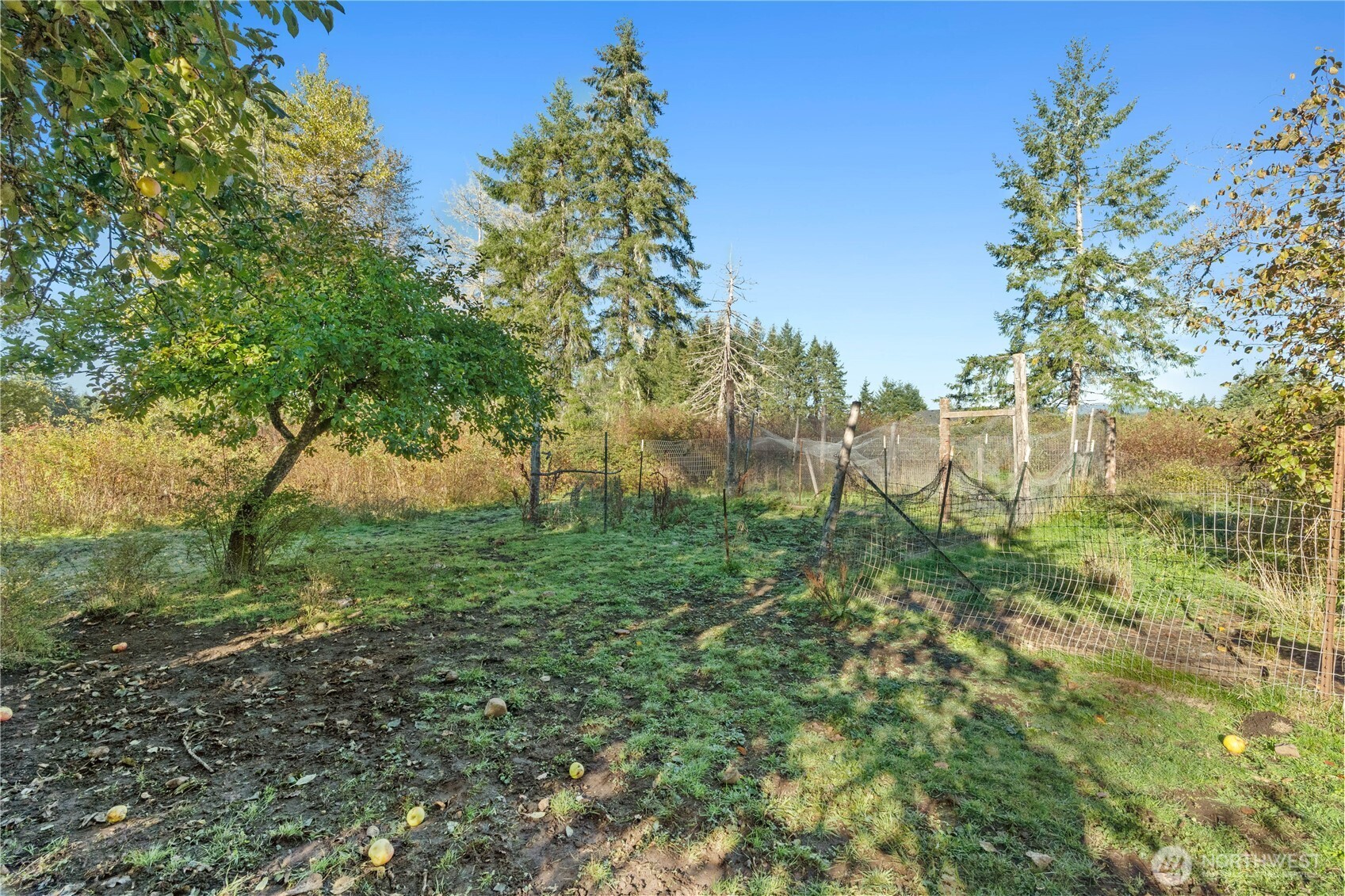 433 West Lucas Lane Elma, WA 98541 - Photo 14 of 17