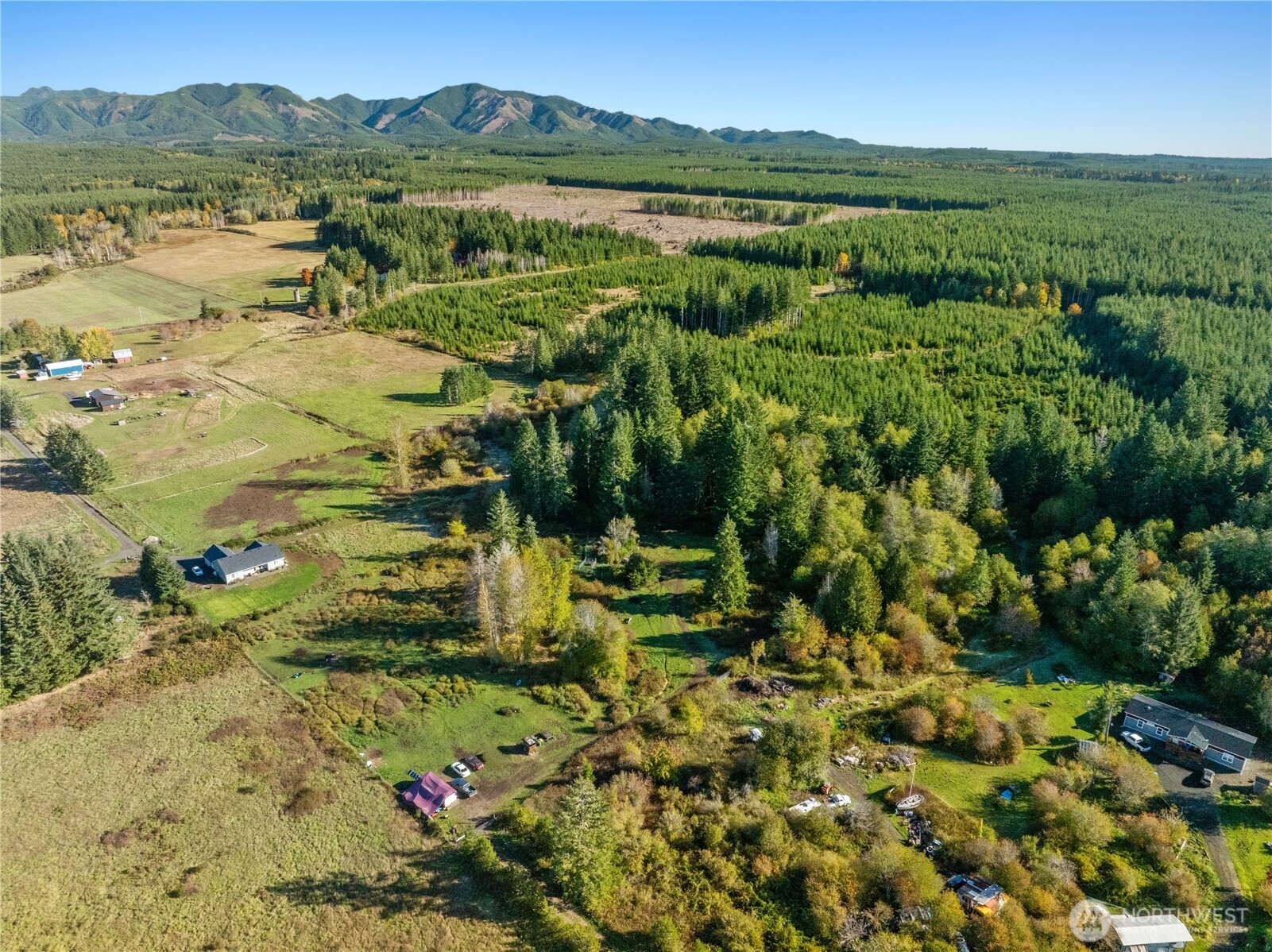 433 West Lucas Lane Elma, WA 98541 - Photo 3 of 17