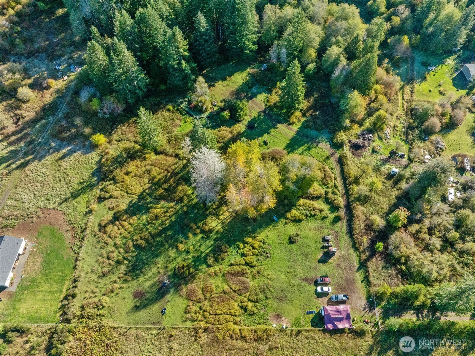 433 West Lucas Lane Elma, WA 98541 - Photo 5 of 17