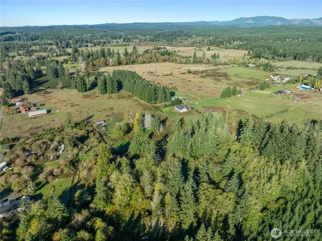 a view of a lush green space with lots of trees