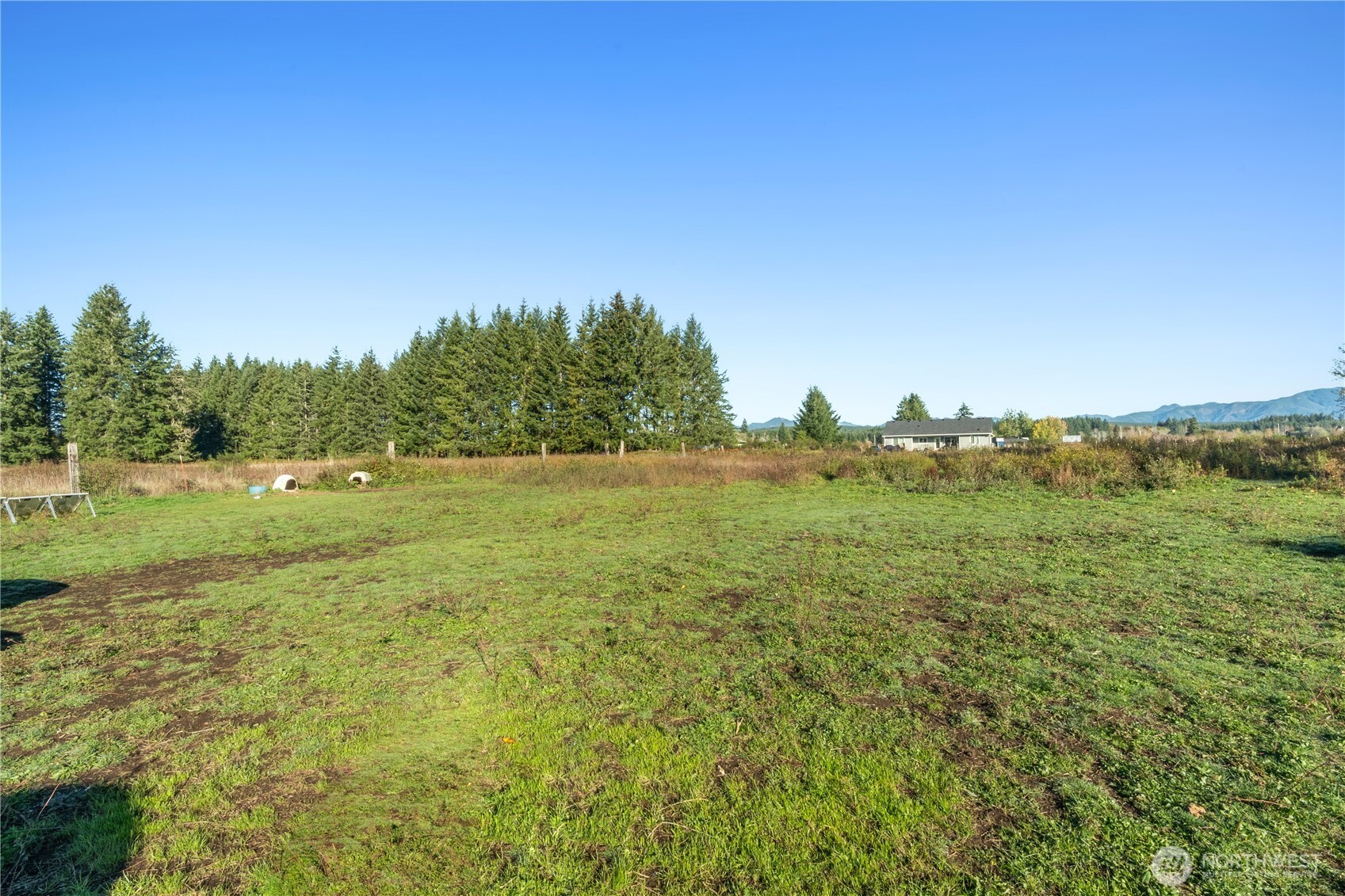 433 West Lucas Lane Elma, WA 98541 - Photo 8 of 17