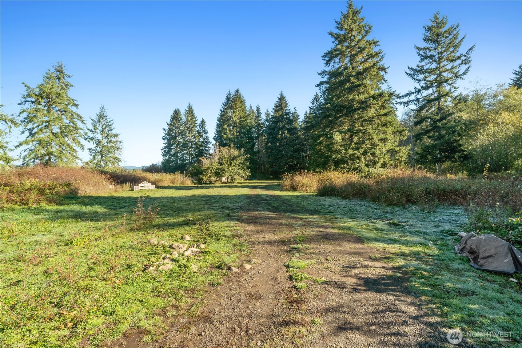 433 West Lucas Lane Elma, WA 98541 - Photo 10 of 17