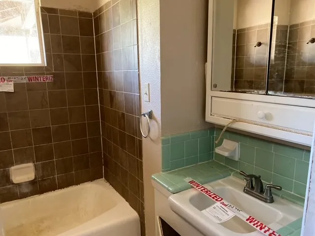 a bathroom with a sink and a shower