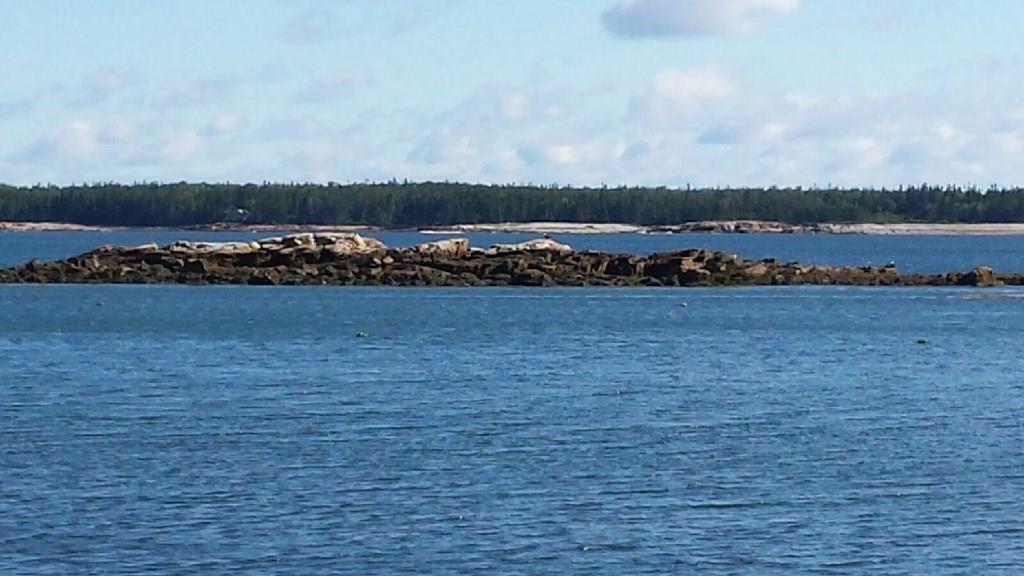 0 Clark Point Road Prospect Harbor, ME 04669 - Photo 2 of 3 Photo
