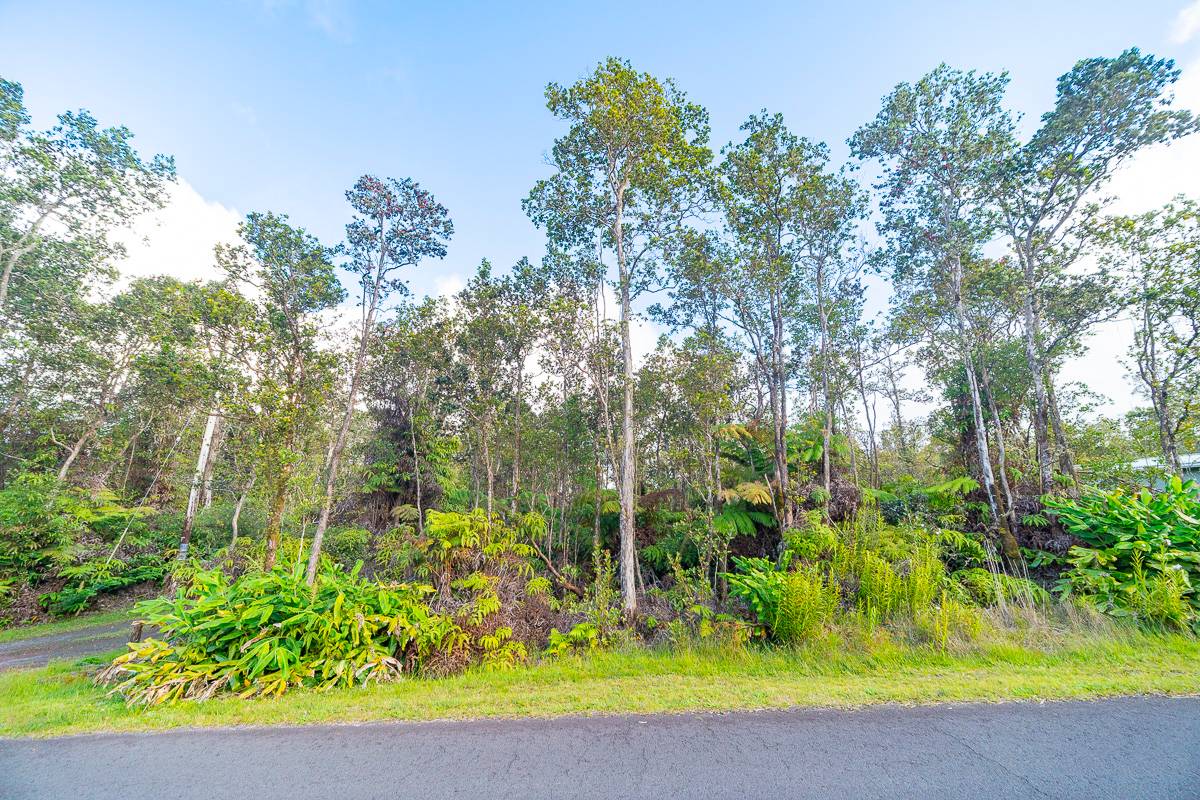 2204 Mokuna Street Volcano, HI 96785 - Photo 4 of 7 a view of a yard with plants