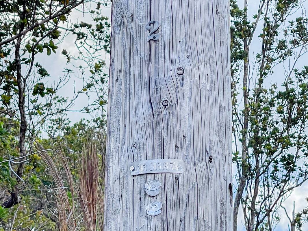 2204 Mokuna Street Volcano, HI 96785 - Photo 7 of 7 a bathroom with a shower curtain and a tree