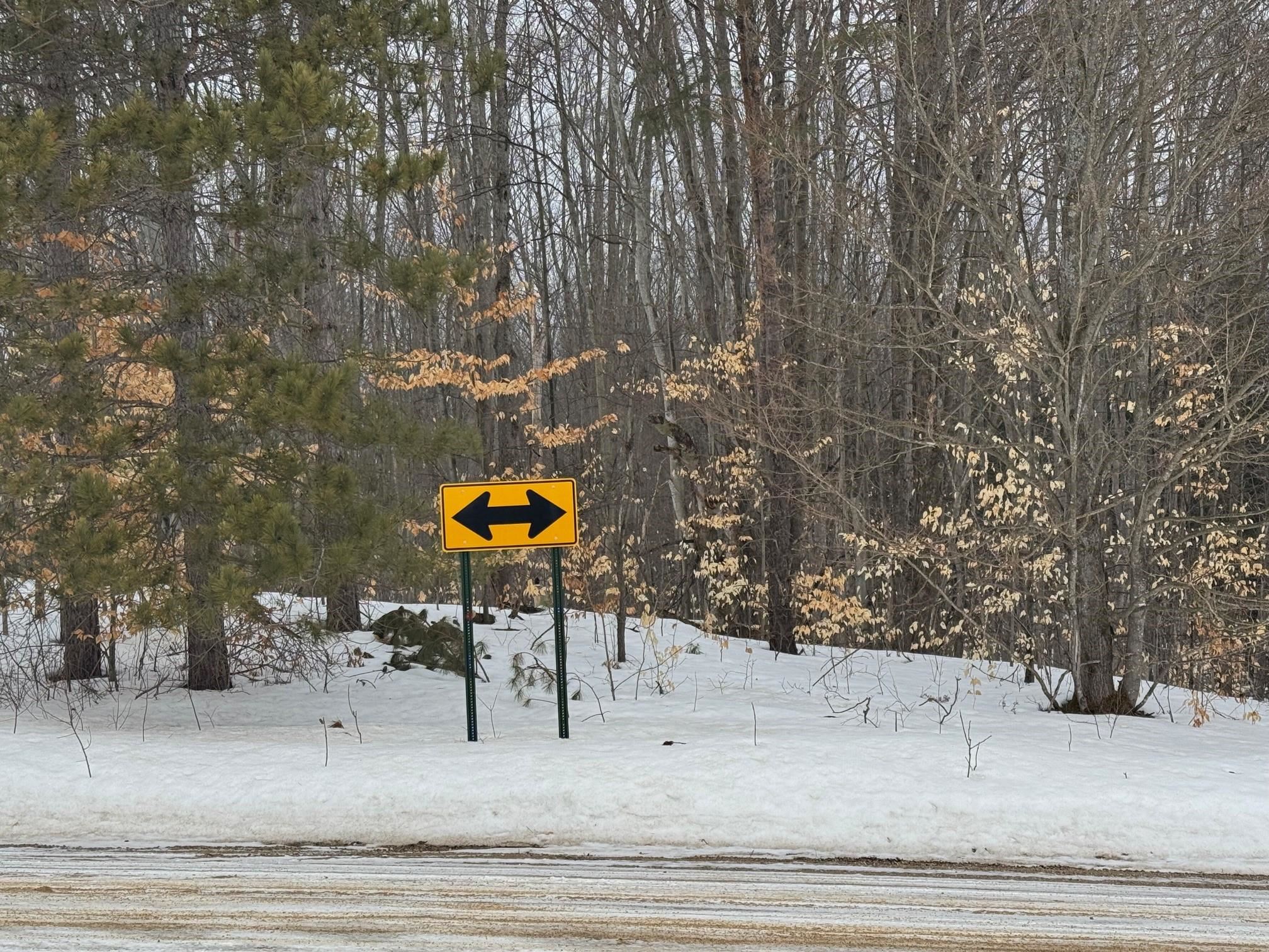 Vl West Rhoby Road Lake City, MI 49651 - Photo 6 of 8 Gallery Image 6