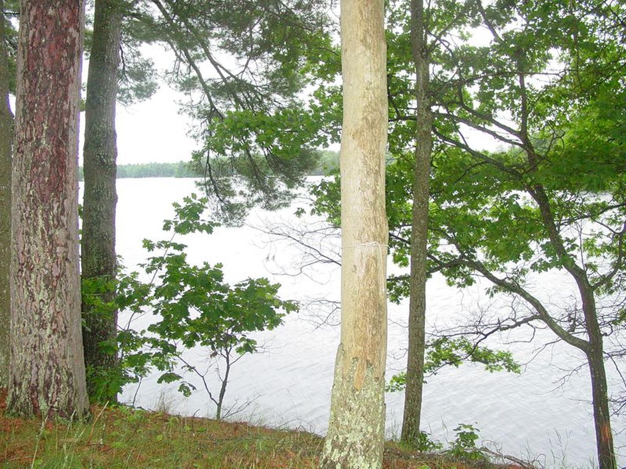 5647 Seybold Road Manitowish Waters, WI 54545 - Photo 33 of 39 Gallery Image 33
