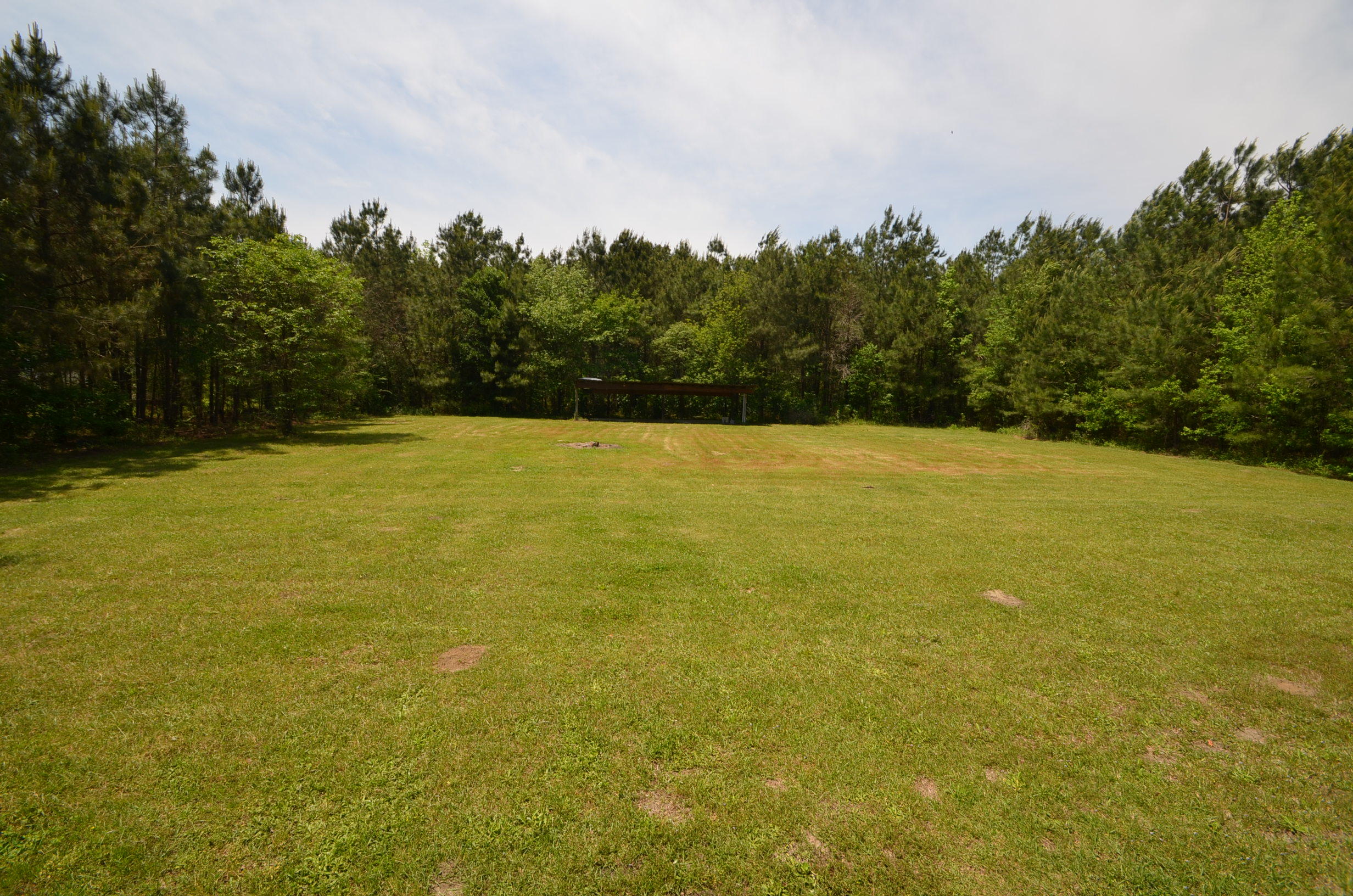1255 Mail Rte Road Bonneau, SC 29431 - Photo 13 of 13 DSC_0532