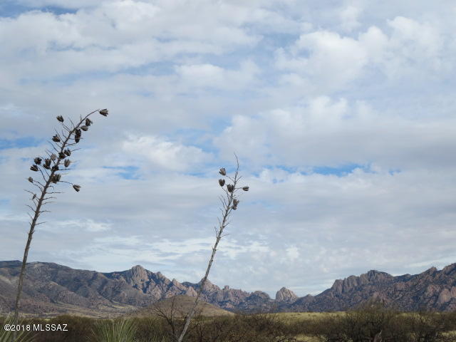 36.17-ac East Horse Ranch Road, Unit 45 St. David, AZ 85630 - Photo 1 of 19