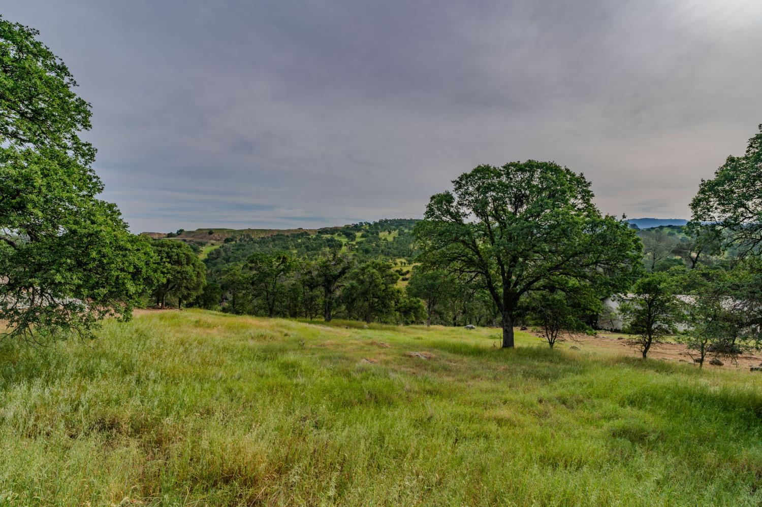 7043 South Burson Road Valley Springs, CA 95252 - Photo 21 of 99