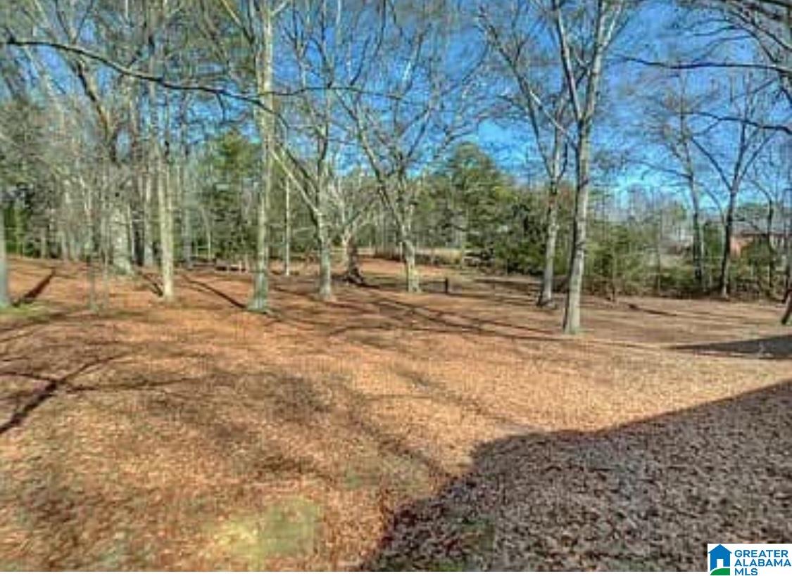 104 Adriane Street Clanton, AL 35045 - Photo 4 of 39