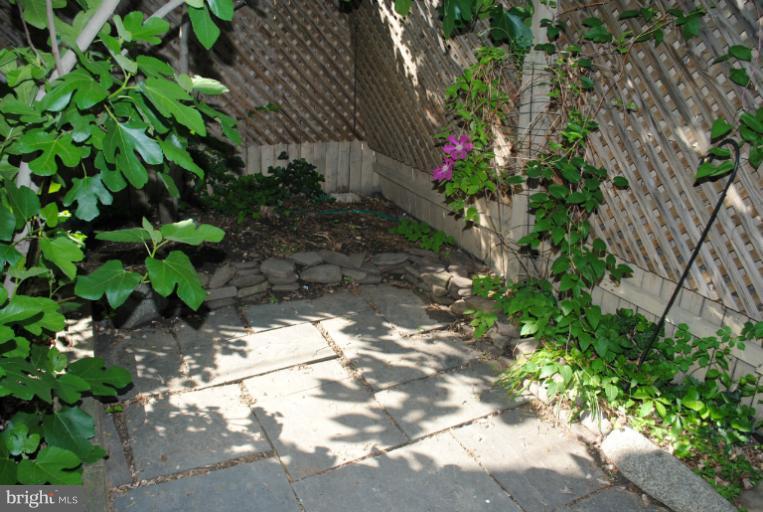 2254 Ontario Road Northwest Washington, DC 20009 - Photo 5 of 19 Exterior (Rear)