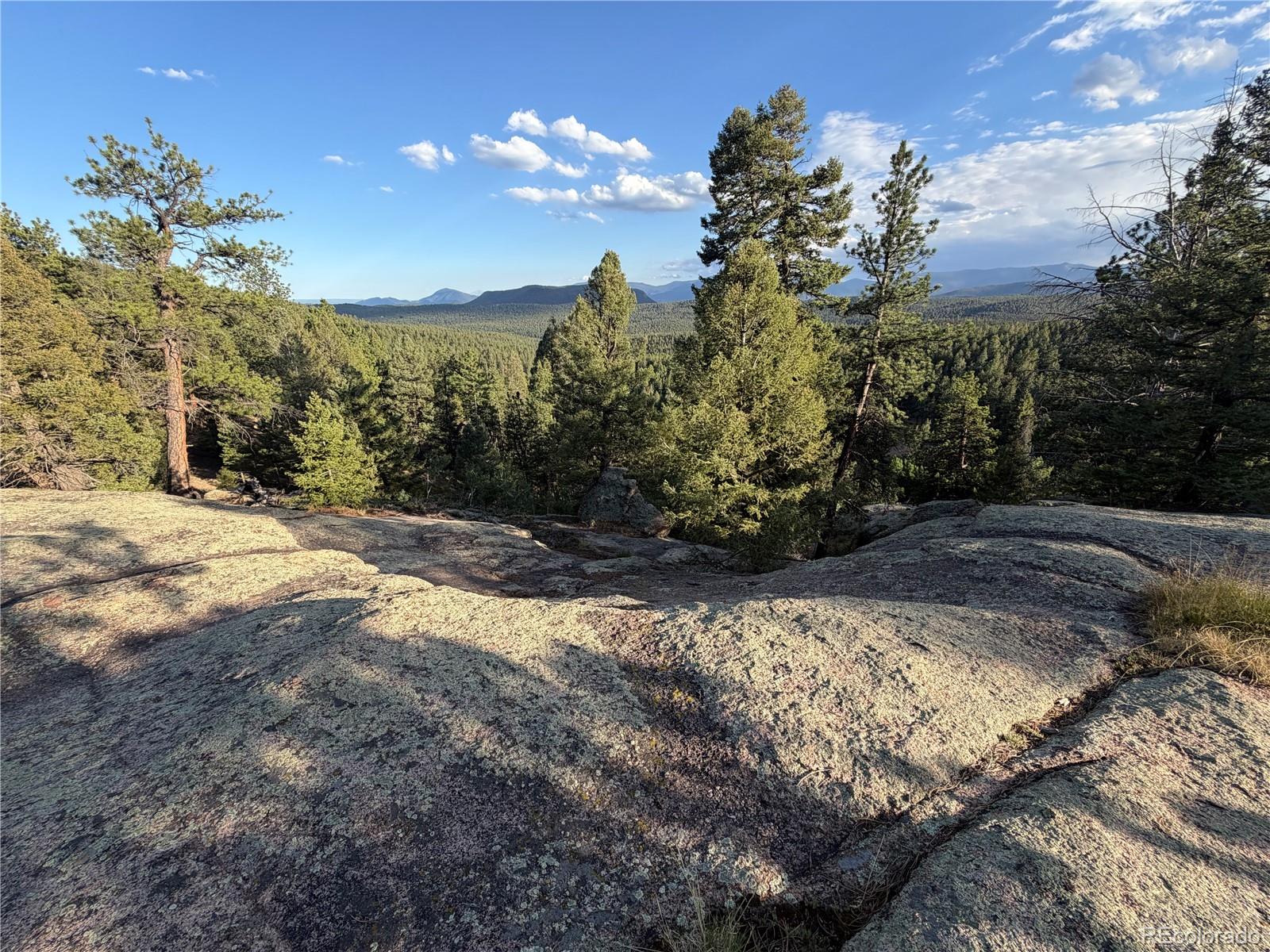237 Rd B Pine, CO 80470 - Photo 41 of 48