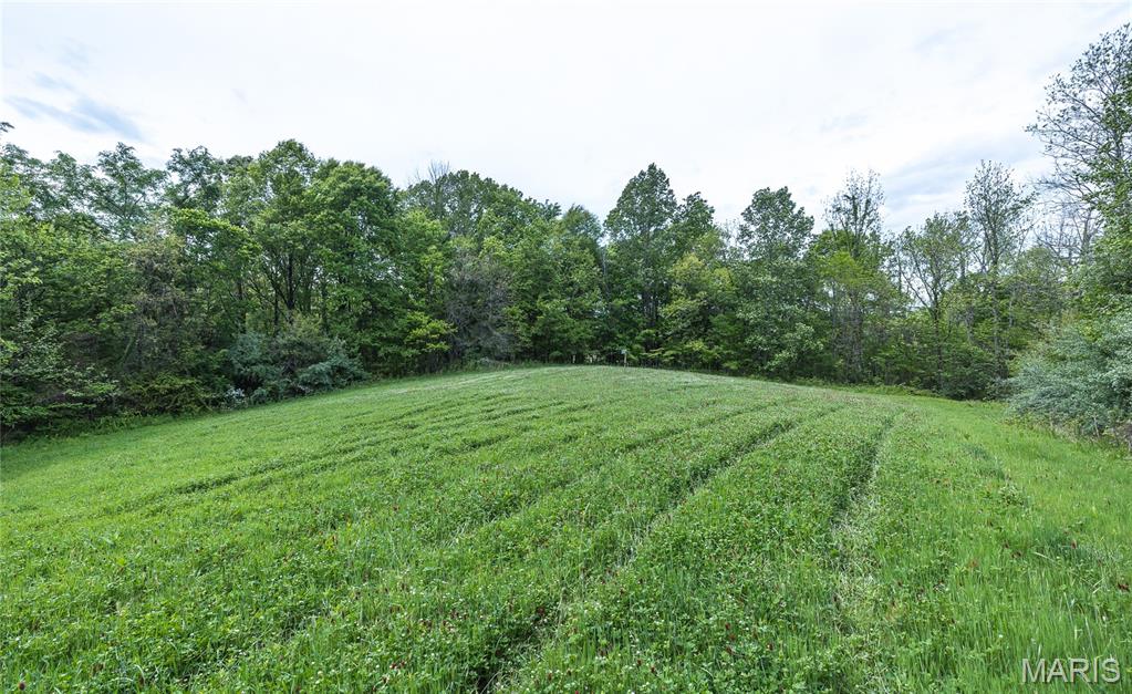 0 Yellow Springs Road Elizabethtown, IL 62931 - Photo 45 of 56 Gallery Image 45