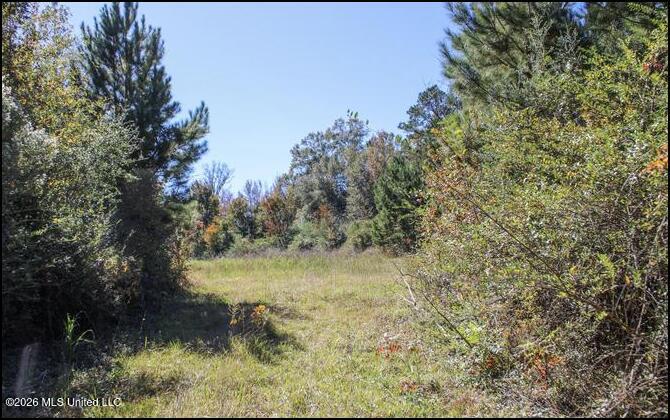 4056 Gibson Road McComb, MS 39648 - Photo 13 of 21 Screenshot 2026-05-26 134104
